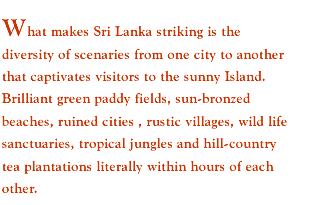 What makes Sri Lanka striking is the diversity of scenaries from one city to another that captivates visitors to the sunny Island. Brilliant green paddy fields, sun-bronzed beaches, ruined cities , rustic villages, wild life sanctuaries, tropical jungles and hill-country tea plantations literally within hours of each other. 