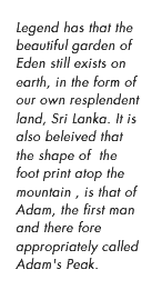 Legend has that the beautiful garden of Eden still exists on earth, in the form of our own resplendent land, Sri Lanka. It is also beleived that the shape of the foot print atop the mountain , is that of Adam, the first man and there fore appropriately called Adam's Peak.