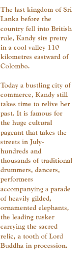 The last kingdom of Sri Lanka before the country fell into British rule, Kandy sits pretty in a cool valley 110 kilometres eastward of Colombo. Today a bustling city of commerce, Kandy still takes time to relive her past. It is famous for the huge cultural pageant that takes the streets in July- hundreds and thousands of traditional drummers, dancers, performers accompanying a parade of heavily gilded, ornamented elephants, the leading tusker carrying the sacred relic, a tooth of Lord Buddha in procession.