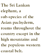 The Sri Lankan elephant, a sub-species of the Asian pachyderm, roams throughout the country except in the high mountains and the populous western coastal belt.